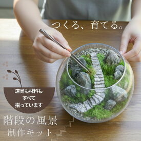観葉植物 キット [苔テラリウム 制作キット 階段の風景] 動画・説明書付き｜和風 ジオラマ 体験 誕生日 ギフト