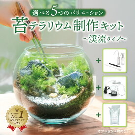 植物 キット [苔テラリウム 制作キット 渓流の風景] 【初心者向】 動画付き制作キット｜体験 ギフト 誕生日 プレゼント