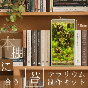 _^{IɒuIyXNGA[g[L {I ۃeELbgz eE Lbg S Zbg KX e v[gZ~I[v ۋ  ĕ Ce