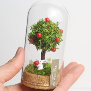 yAbvEK[fz Mtg v[g eE  ͂Ȃ Ntg ۂ̃vU[uh KXe ~j ~j`A vU[uhX X nhCh  WI