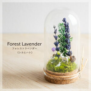 ytHXgx_[z eE~jeE ސEj Ntg ۂ̃vU[uh  KXe ~j ~j`A vU[uhX X nhCh  WI} ̂