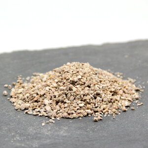 yėpяi50ccjzۃeEp \C |@O[@CeA@@CAEg@Ϗܗp