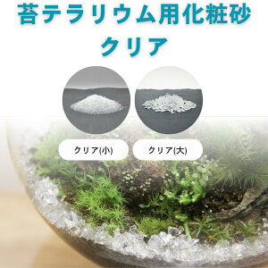 y ۃeEp ύ z ۃeEp \C | NAzCg NAij NAij