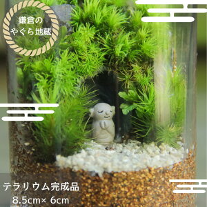 yۃeEizq̂₮nS eE ~j ϗtA CeA yY җ JXj Vzj j hV̓ ̓ Mtg v[g