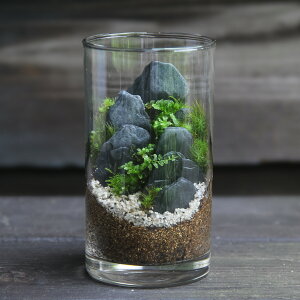 yۃeEi R} z ϗtA CeA ̓ rO A ~  | K[fjO JXj Vzj j hV̓ Mtg v[g q ۃeEX