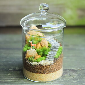 【苔テラリウム完成品 キャニスターL】苔テラリウム 観葉植物 インテリア 父の日 リビング 植物 盆栽 室内 園芸 ガーデニング 開店祝い 新築祝い 結婚祝い 敬老の日 ギフト プレゼント 鎌倉