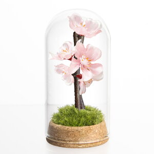 eEh[50 TN  Βi  d l O ~jeE vU[uh  ͂Ȃ