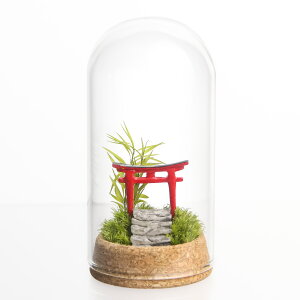 ���e�����E���h�[����50�� �T�N�� �� �Βi ���� ���d ���l ���O �~�j�e�����E�� �v���U�[�u�h �� �͂�Ȃ�