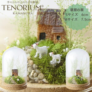 ỷƁz ۃvU[uht[~jeE ސEj eE   h[ Lbg ۂ̃vU[uh KXe ~j ~j`A v[g vU[uhX X nh