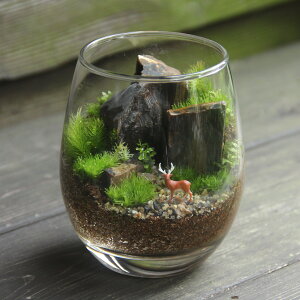 yۃeEi hbvL z ϗtA CeA ̓ rO A ~  | K[fjO JXj Vzj j hV̓ Mtg v[g q ۃeE