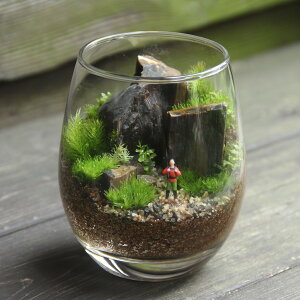 yۃeEi hbvL z ϗtA CeA ̓ rO A ~  | K[fjO JXj Vzj j hV̓ Mtg v[g q ۃeE