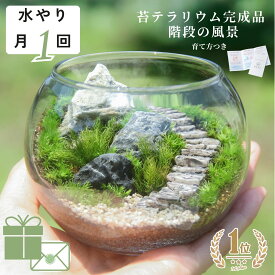 [完成品 階段の風景 サイズ2種類] プレゼント お祝い ジオラマ インテリア 癒やし 雑貨 誕生日 新築祝い おしゃれ 卓上