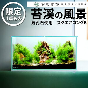 y_ یk̕i XNGAOBzۃeEi  CeA eE _   ϗtA CeA ̓ rO A ~  | K[fj