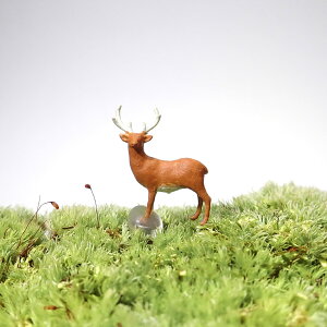 yۃeEi Rx̕i ^t[Sz ϗtA CeA ̓ rO A ~  | K[fjO JXj Vzj j hV̓ Mtg v[g q