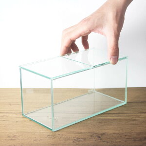 【苔テラリウム用容器 スクエアロング テラリウム】 フタ付き 苔テラリウム ガラス容器 長方形 水槽