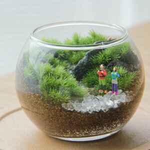 SҌy ۃeEi kM zϗtA CeA ̓ rO A ~  | K[fjO JXj Vzj j hV̓ Mtg v[g q ۃe