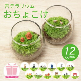 [完成品 おちょこけ] 敬老の日 デスク 癒し 卓上 グリーン ジオラマ 和風 インテリア 癒し