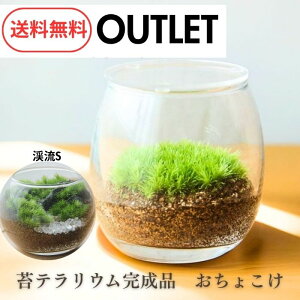 yʌ _^OUTLET tBMAʔz̑ۃeEi AEgbg eE  ϗtA ^ CeA  