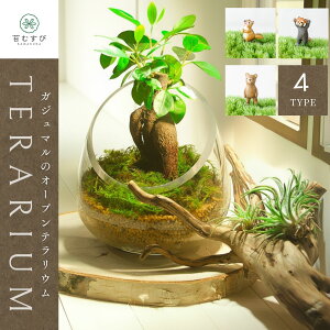 _^yKW}Ƒۂ̃I[veEz KW}͑ۂƂ̑Q ygpAVmuSPKW}̍ɐAt܂