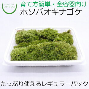 【テラリウム コケリウム 苔 コケ 苔テラリウム 苔リウム アクアリウム アクアテラリウム 観葉植物 園芸 ハイドロカルチャー ガーデニング グリーン インテリア 緑 苔盆栽 癒し moss 初心者