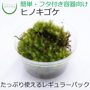 ハイドロカルチャー 苔の人気商品 通販 価格比較 価格 Com