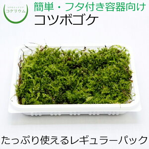 【テラリウム コケリウム 苔 コケ 苔テラリウム 苔リウム アクアリウム アクアテラリウム 観葉植物 園芸 ハイドロカルチャー ガーデニング グリーン インテリア 緑 苔盆栽 癒し moss 初心者