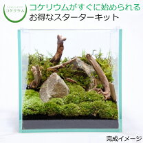 楽天市場】アクア テラリウム キットの通販