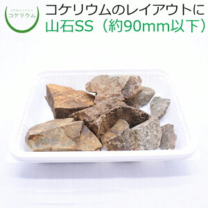 yeE RPE  RP ۃeE ۃE ANAE ANAeE ϗtA | nChJ`[ K[fjO O[ CeA  ۖ~  moss VR 