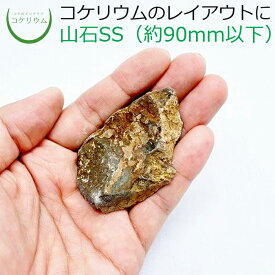 【テラリウム コケリウム 苔 コケ 苔テラリウム 苔リウム アクアリウム アクアテラリウム 観葉植物 園芸 ハイドロカルチャー ガーデニング グリーン インテリア 緑 苔盆栽 癒し moss 天然石 石 レイアウト】 山石SS（形状お任せ）