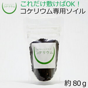 yeE RPE  RP ۃeE ۃE ANAE ANAeE ϗtA | nChJ`[ K[fjO O[ CeA  ۖ~  moss S 