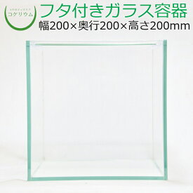 楽天市場 テラリウム 容器の通販