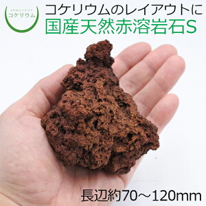 yeE RPE  RP ۃeE ۃE ANAE ANAeE ϗtA | nChJ`[ K[fjO O[ CeA  ۖ~  moss VR 