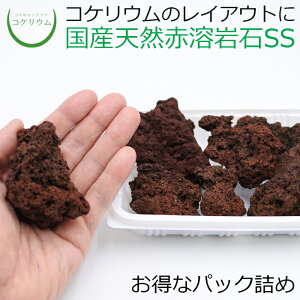 【テラリウム コケリウム 苔 コケ 苔テラリウム 苔リウム アクアリウム アクアテラリウム 観葉植物 園芸 ハイドロカルチャー ガーデニング グリーン インテリア 緑 苔盆栽 癒し moss 天然石