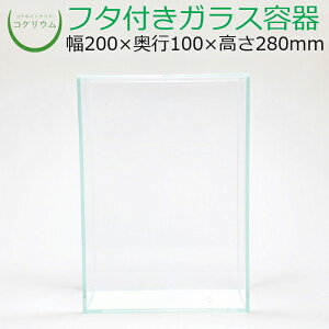 yeE KXe RPE  RP ۃeE ۃE ANAE ANAeE  ϗtA | nChJ`[ K[fjO O[ CeA  ۖ~ 