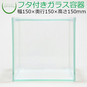 yeE KXe RPE  RP ۃeE ۃE ANAE ANAeE  ϗtA | nChJ`[ K[fjO O[ CeA  ۖ~ 