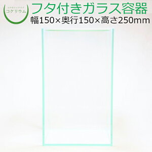 yeE KXe RPE  RP ۃeE ۃE ANAE ANAeE  ϗtA | nChJ`[ K[fjO O[ CeA  ۖ~ 