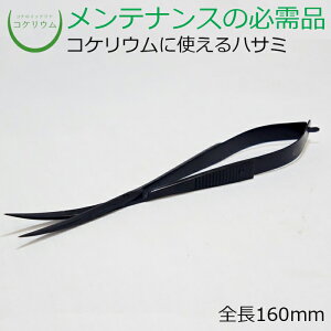 yeE RPE  RP ۃeE ۃE ANAE ANAeE ϗtA | nChJ`[ K[fjO O[ CeA  ۖ~  moss Sҁz