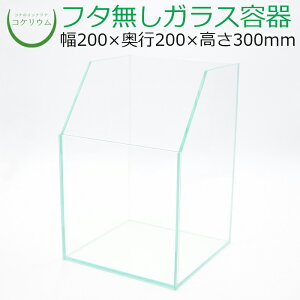 yeE KXe RPE  RP ۃeE ۃE ANAE ANAeE  ϗtA | nChJ`[ K[fjO O[ CeA  ۖ~ 