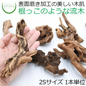 yeE   CeA RPE  RP ۃeE ۃE ANAE ANAeE ϗtA | nChJ`[ K[fjO O[  ۖ~ z X