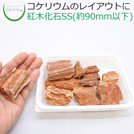 【テラリウム コケリウム 苔 コケ 苔テラリウム 苔リウム アクアリウム アクアテラリウム 観葉植物 園芸 ハイドロカルチャー ガーデニング グリーン インテリア 緑 苔盆栽 癒し moss 天然石 石 レイアウト】 紅木化石SS（形状お任せ、パック詰め）