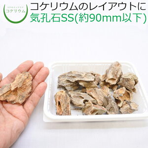 yeE RPE  RP ۃeE ۃE ANAE ANAeE ϗtA | nChJ`[ K[fjO O[ CeA  ۖ~  moss VR 