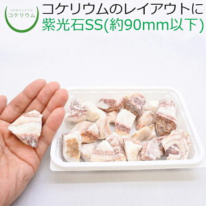 yeE RPE  RP ۃeE ۃE ANAE ANAeE ϗtA | nChJ`[ K[fjO O[ CeA  ۖ~  moss VR 