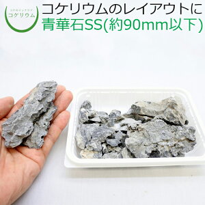 yeE RPE  RP ۃeE ۃE ANAE ANAeE ϗtA | nChJ`[ K[fjO O[ CeA  ۖ~  moss VR 