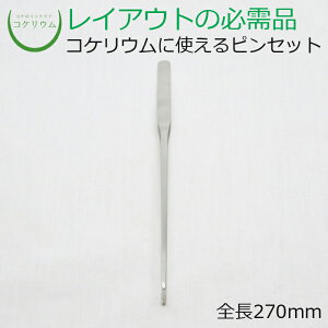 yeE RPE  RP ۃeE ۃE ANAE ANAeE ϗtA | nChJ`[ K[fjO O[ CeA  ۖ~  moss Sҁz