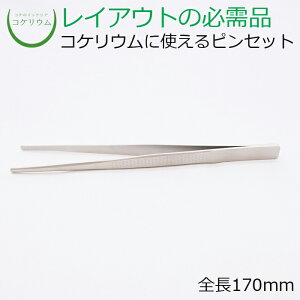 yeE RPE  RP ۃeE ۃE ANAE ANAeE ϗtA | nChJ`[ K[fjO O[ CeA  ۖ~  moss Sҁz