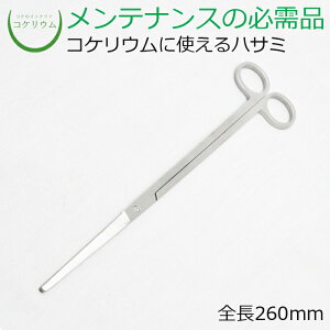 yeE RPE  RP ۃeE ۃE ANAE ANAeE ϗtA | nChJ`[ K[fjO O[ CeA  ۖ~  moss Sҁz