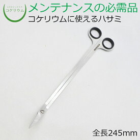 楽天市場 苔テラリウム トリミングハサミの通販