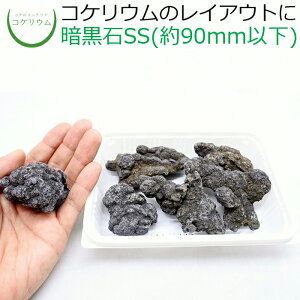 yeE RPE  RP ۃeE ۃE ANAE ANAeE ϗtA | nChJ`[ K[fjO O[ CeA  ۖ~  moss VR 