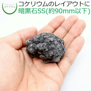 yeE RPE  RP ۃeE ۃE ANAE ANAeE ϗtA | nChJ`[ K[fjO O[ CeA  ۖ~  moss VR 