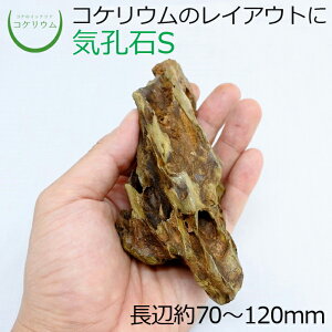 yeE RPE  RP ۃeE ۃE ANAE ANAeE ϗtA | nChJ`[ K[fjO O[ CeA  ۖ~  moss VR 